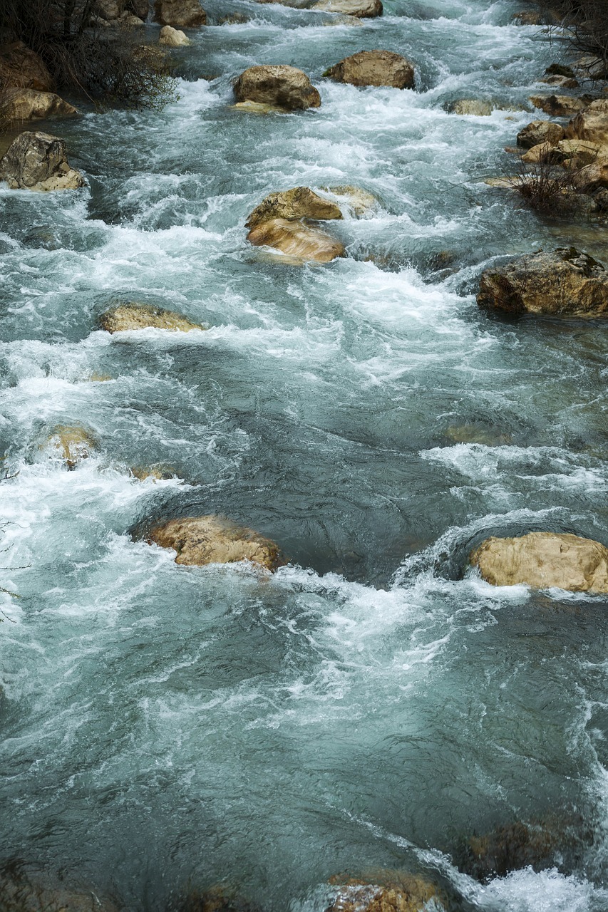 Libro acqua