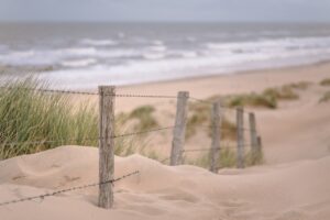 Il braccio e la mente Dune di sabbia