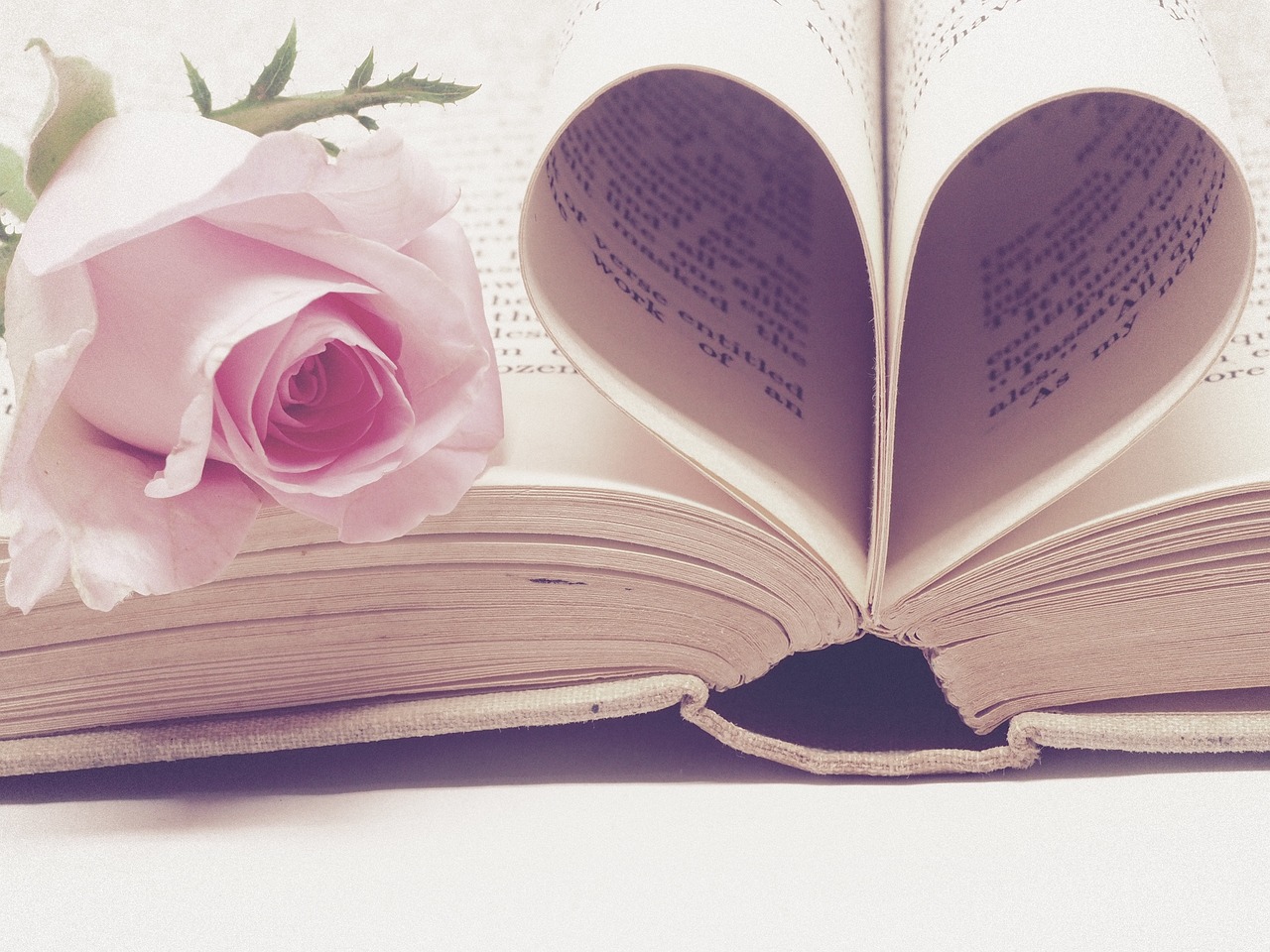 cuore amore libro